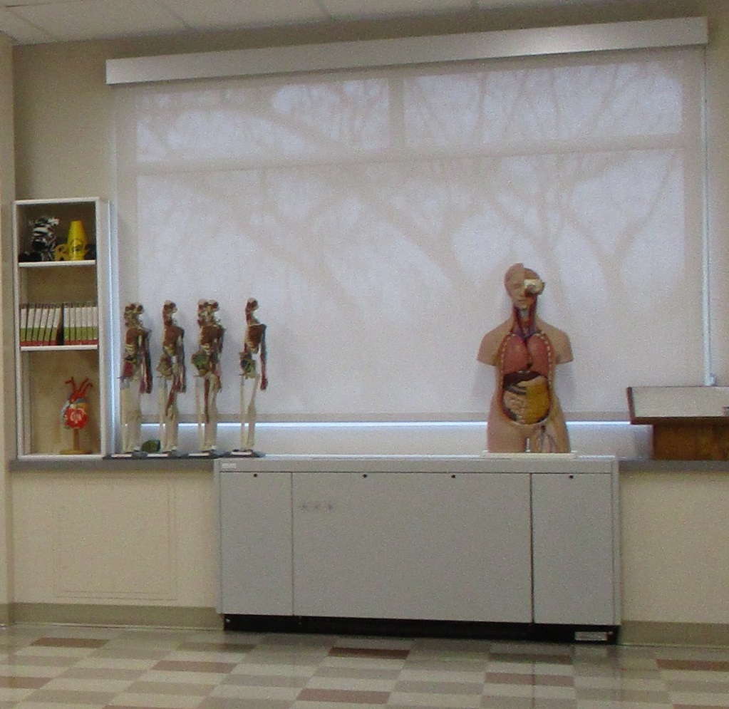 RCSC HS Mechanical Module